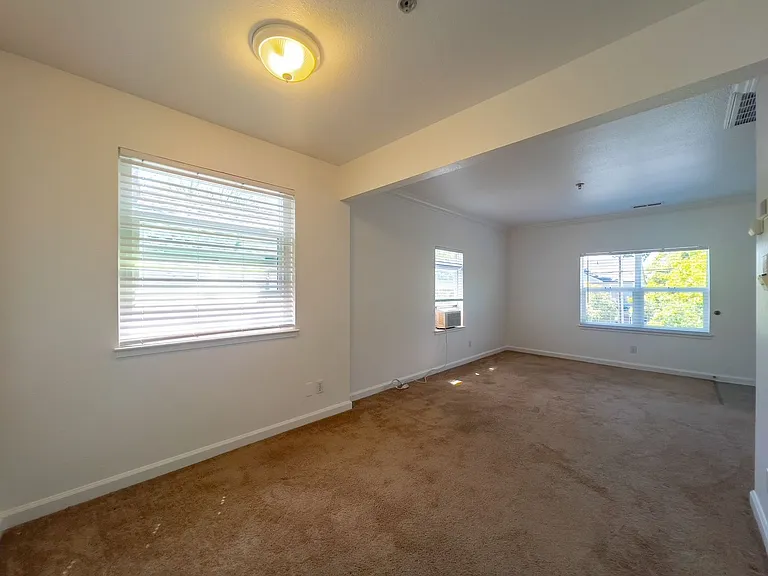 Calistoga Avenue, 1356 — Photo 20