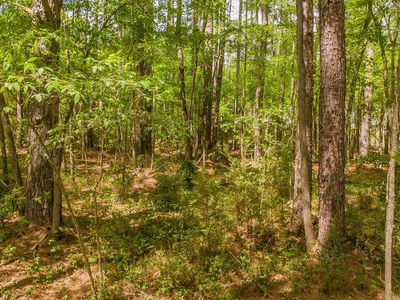 1723 Pineview Ln, Hideaway, TX, 75771