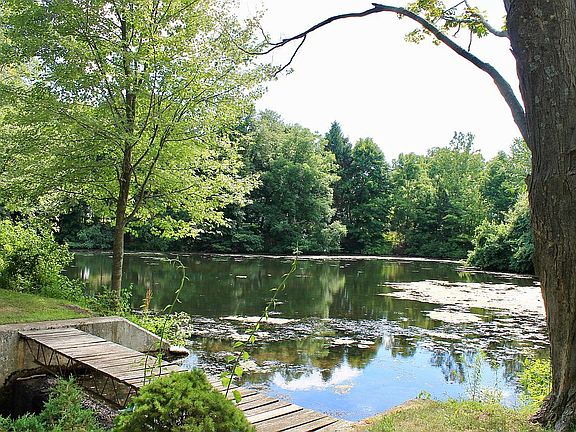 Spring Fed Pond