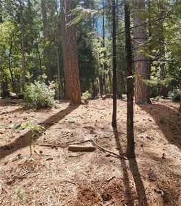 11254 Winding Way LOT 103, Clipper Mills, CA, 95930