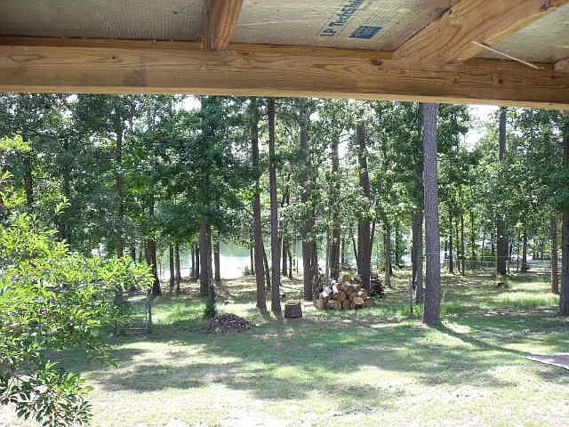 13919 Cecala Dr — Photo 2