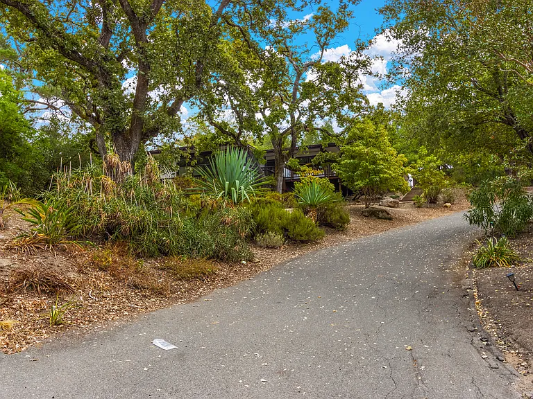 Driveway to the entrance. Beautiful oak trees and park like garden.