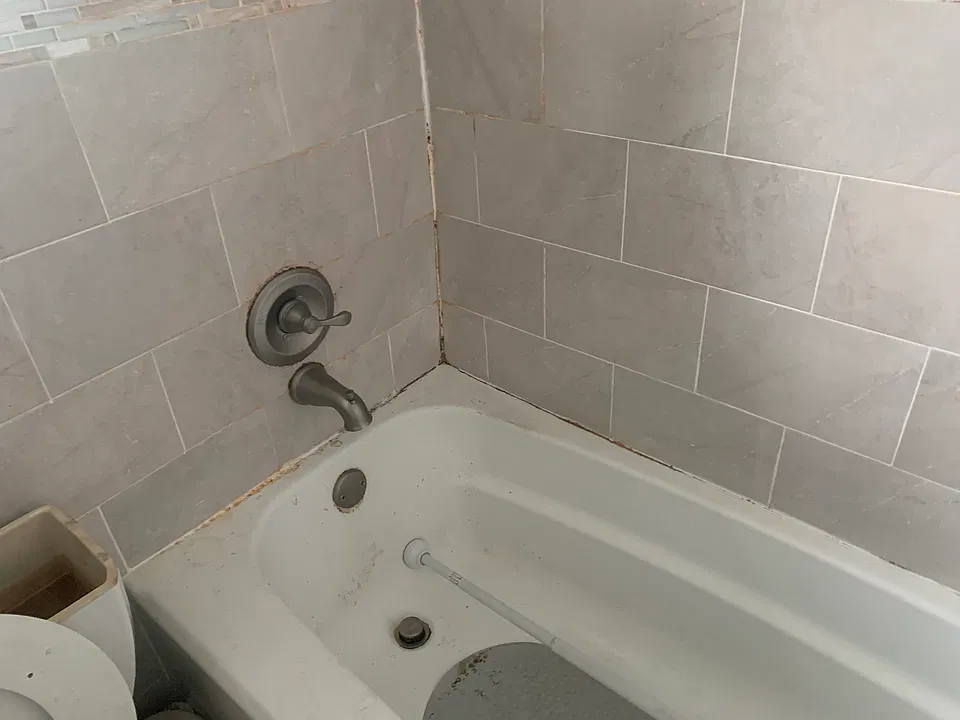 242 Bell Ave #1