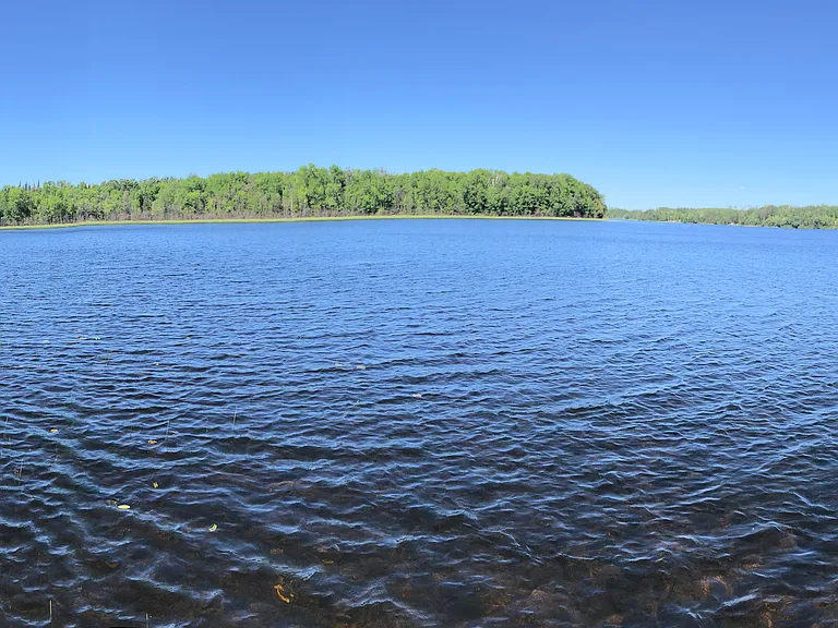 52908 Brush Shanty Lake Rd — Photo 10
