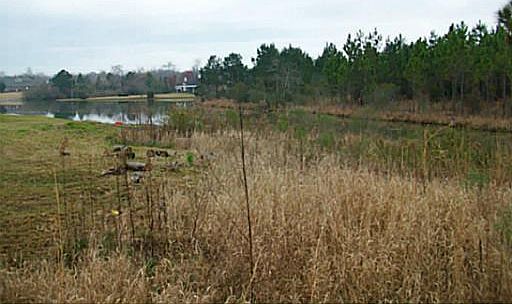 1st image of Overlook Dr
