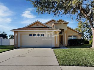 5334 New Savannah Cir, Wesley Chapel, FL 33545