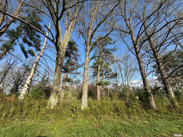 5528 Gannett Rd, Mulkeytown, IL 62865