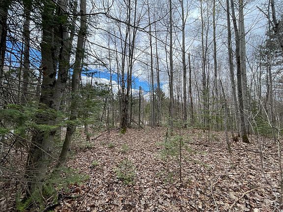5th image of 0 Alsace Rd