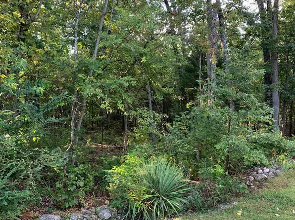 Pt 25 & 26 White River Ct, Yellville, AR 72687