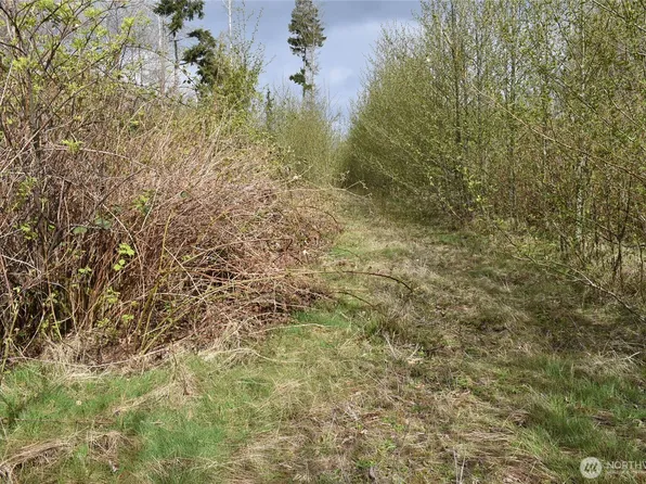 0 Lot 13 W Twin River Road, Port Angeles, WA 98363