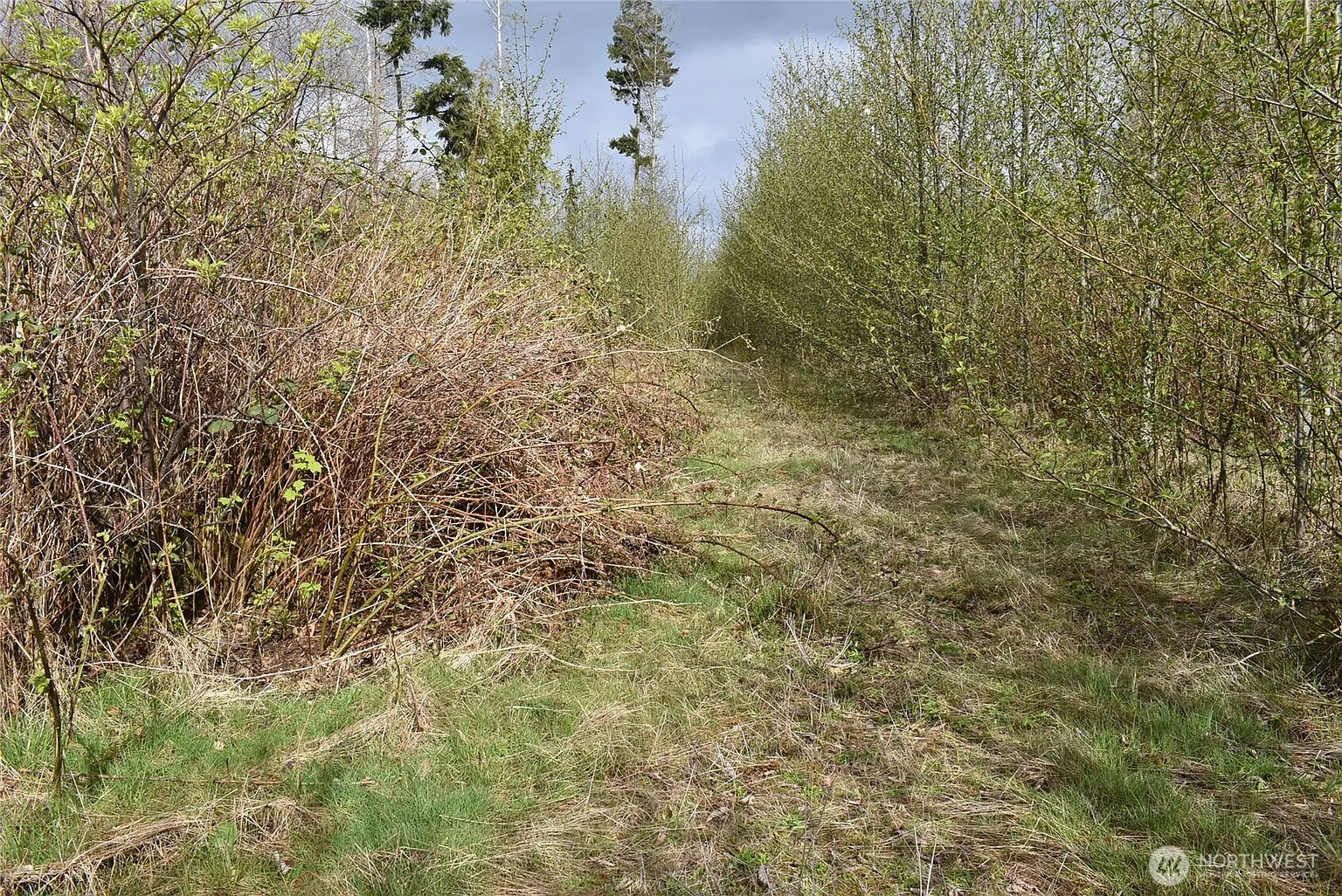 0 Lot 13 W Twin River Road photo 1