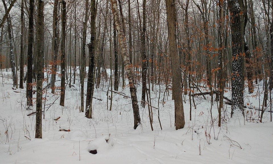 1st image of 00 Weirgor Road