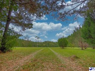 6350 Jordan Rd, Effingham, SC 29541