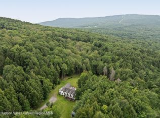 395 Roaring Brook Lane, Pine Hill, NY 12465