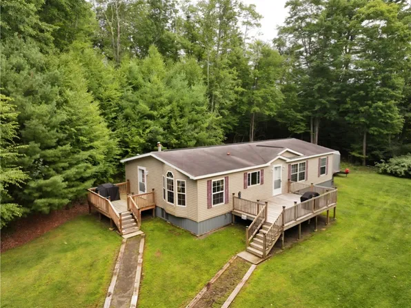 21 Candor Hill Rd, Candor, NY 13743