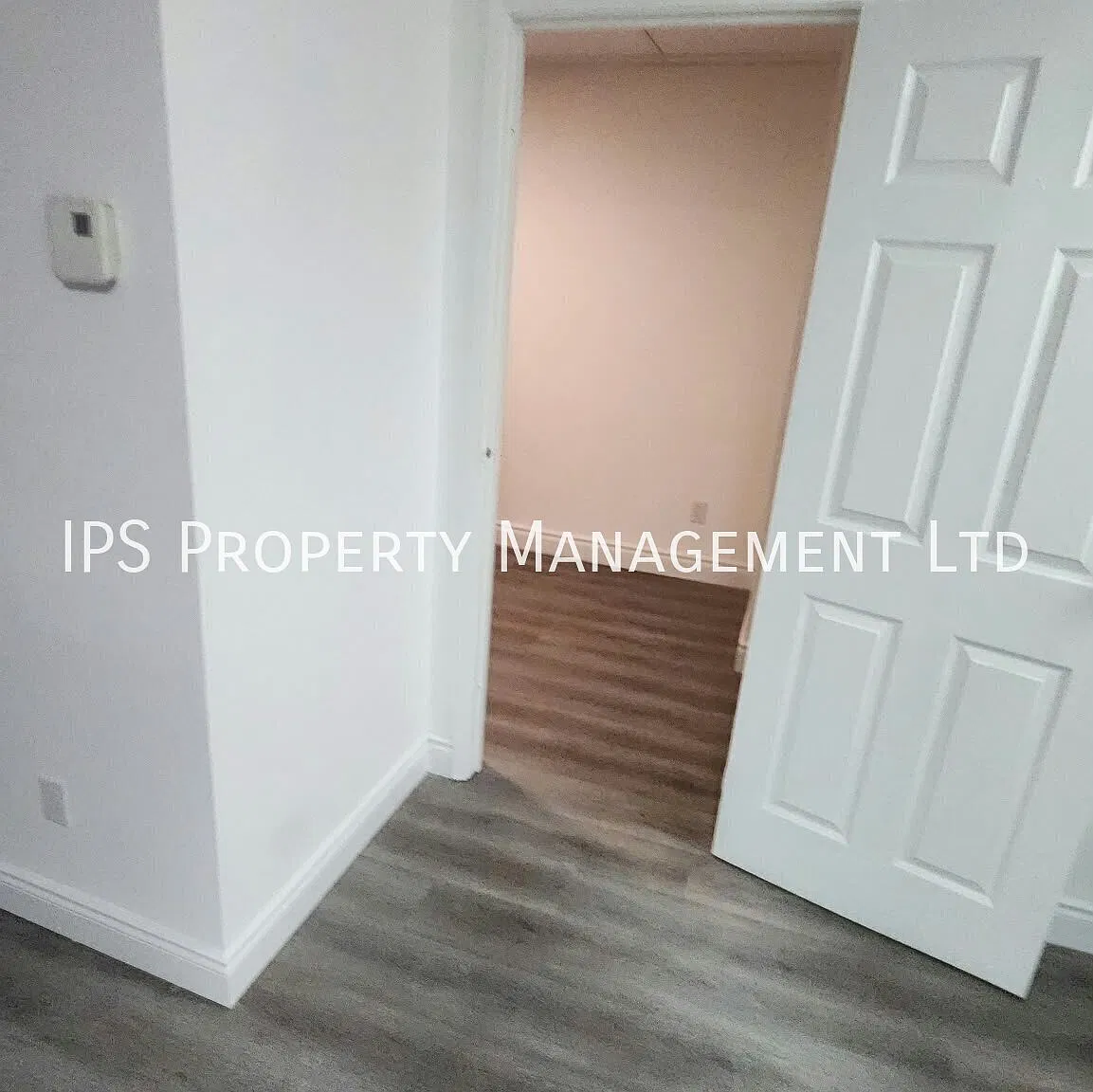 317 Front St- 3 1 Bed 1 Bath — Photo 4