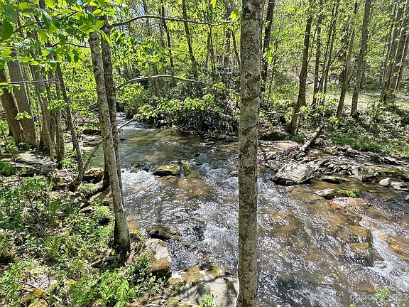 5th image of Tbd Nc 209 Hwy