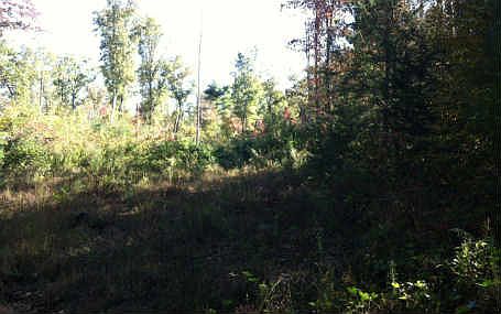 1st image of 63 Bear Paw Church Rd
