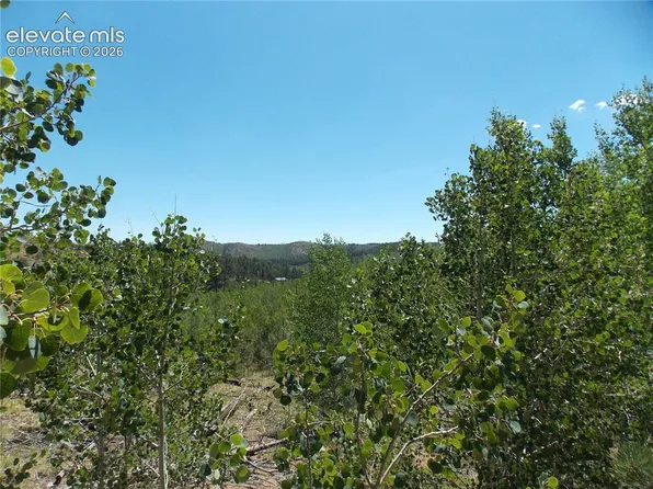 615 Valley Rd, Florissant, CO 80816