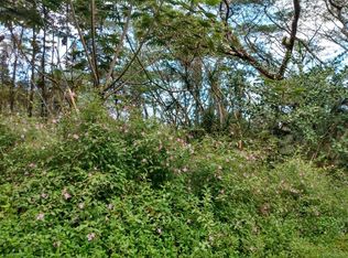 Kauai Rd LOT 289, Pahoa, HI 96778