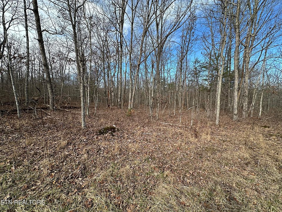 1st image of O'Stone Cir