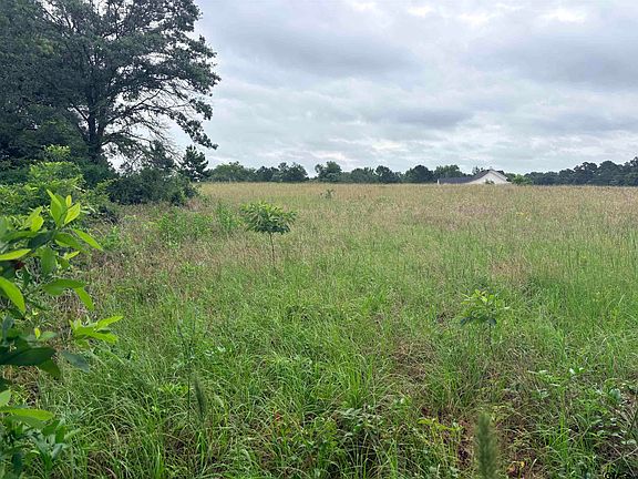 2nd image of LOT 2 County Road 401 S