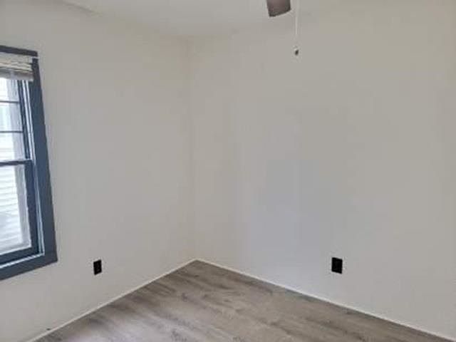 Photo E