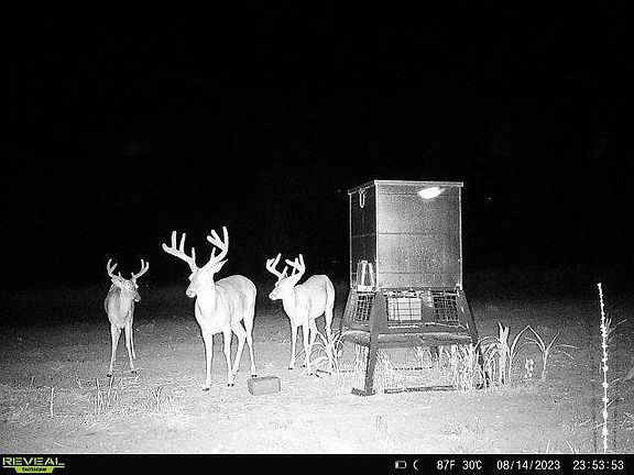 3rd image of 145 Greene Loop