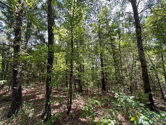 2nd image of 0 County Road 4335