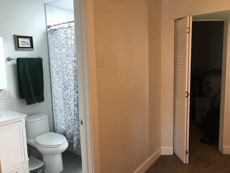 master bath and walk-in closet