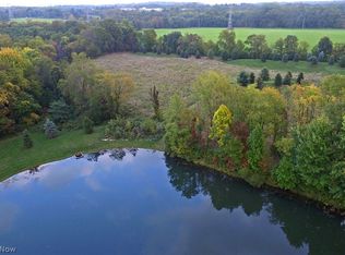 367 Arbor Falls Dr, Wadsworth, OH 44281