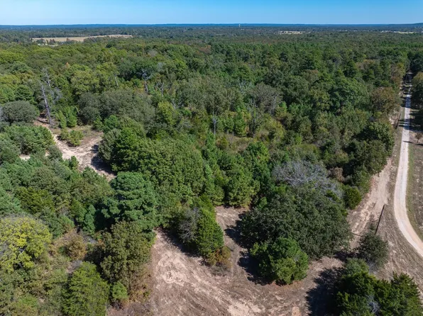 TRACT One Fm Road 279 Rd, Ben Wheeler, TX 75754