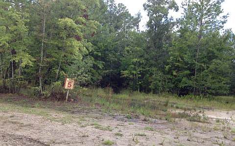 3rd image of 25712 Highway 301 N