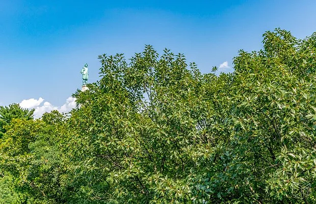 Sold by Halstead Real Estate | media 3