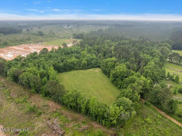 Calhoun Ln, Forest, MS 39074