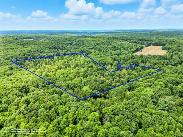 172 Eagle Nest Ln, Marienville, PA 16239