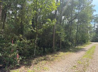 18 Pamela Pl, Sopchoppy, FL 32358