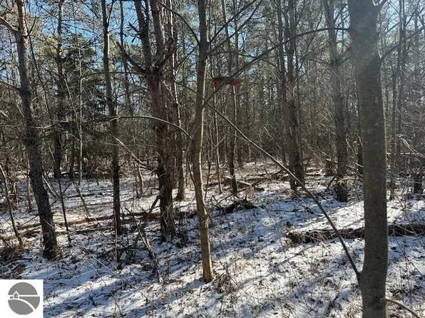 0 N 31st Rd, Manton, MI 49663