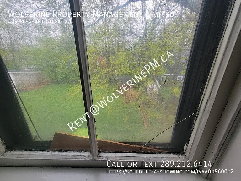 409 Pleasant St #B — Photo 18
