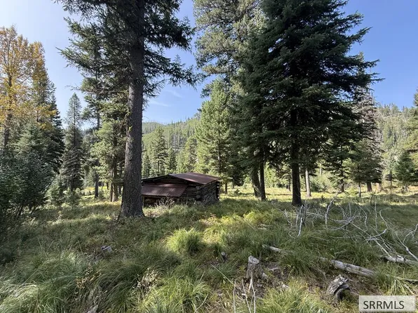 LOT 7 Kokopelli Dr, Gibbonsville, ID 83463