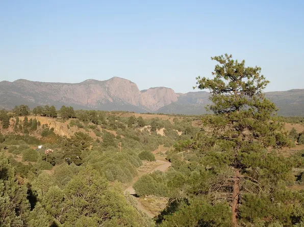 280 Shroyer Dr, Los Ojos, NM 87551