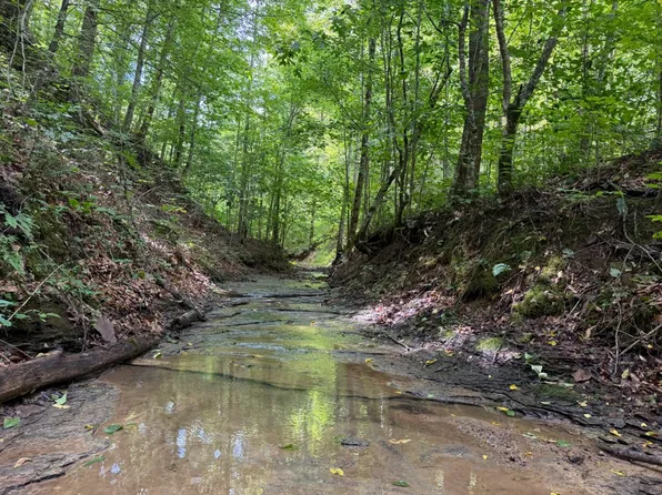E Lick Br Lot Wp001, Jackson, KY 41339