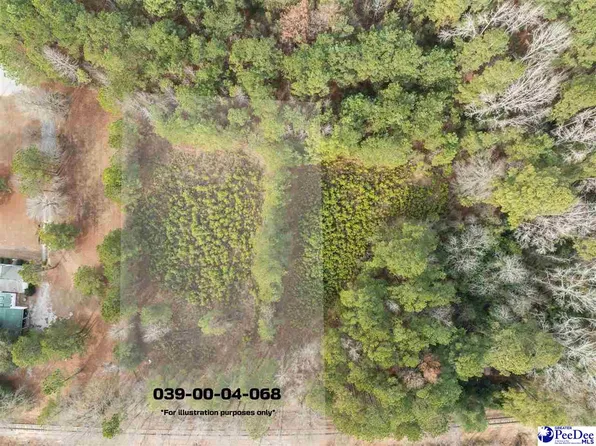 Berry Rd Lot 2, Hartsville, SC 29550