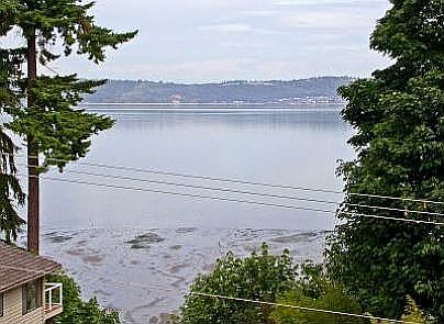 Eagles soar to the backdrop of this close up view of the Sound