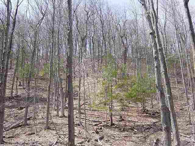 2nd image of 0 COLE HILL Road