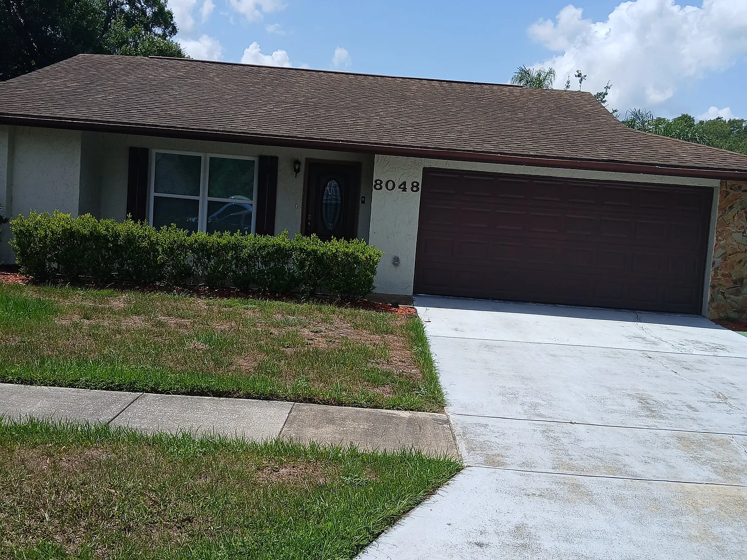 Blue Finch Way, New Port Richey — Photo 1