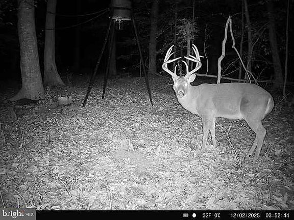 4th image of 0 Head Of Creek Rd