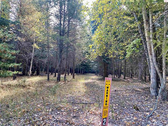 3rd image of Nna Cougar Rd