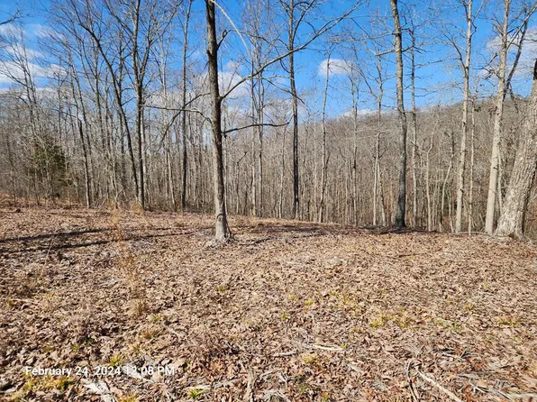 7 Dixie Ln, Holladay, TN 38341