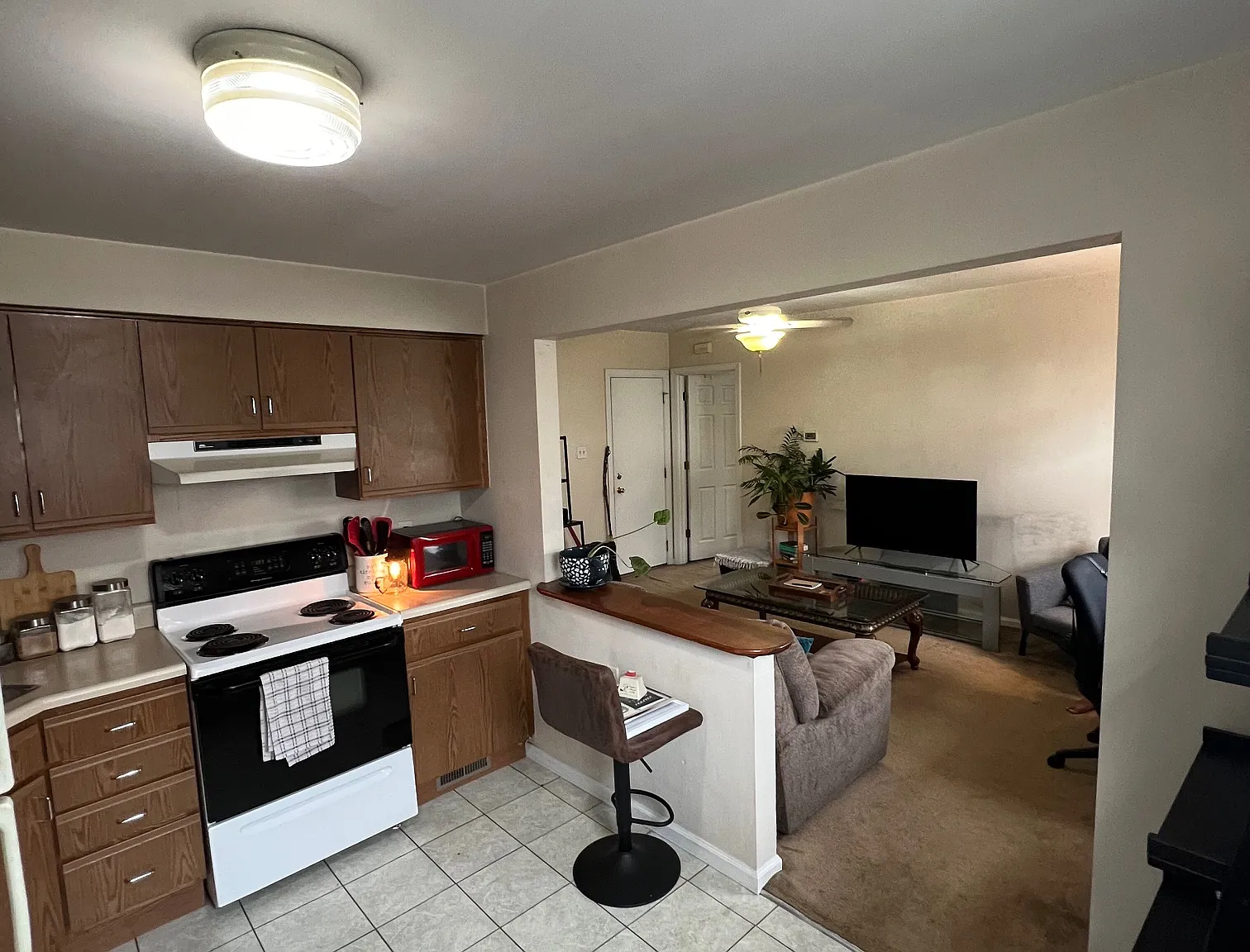 1 bed, $875 — Photo 3